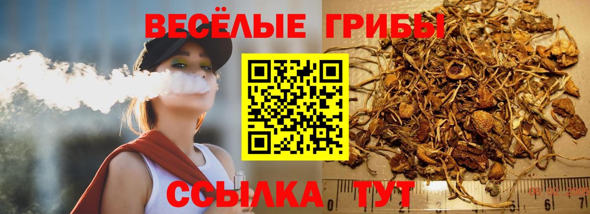Псилоцибиновые грибы GOLDEN TEACHER Кольчугино