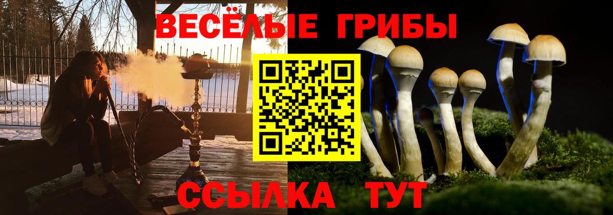 Псилоцибиновые грибы мухоморы  Вход с VPN  Кольчугино  Галлюциногенные грибы Cubensis 